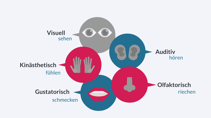 Das Bild zeigt die fünf Lernkanäle (visuell, auditiv, olfaktorisch, kinästhetisch und gustatorisch).