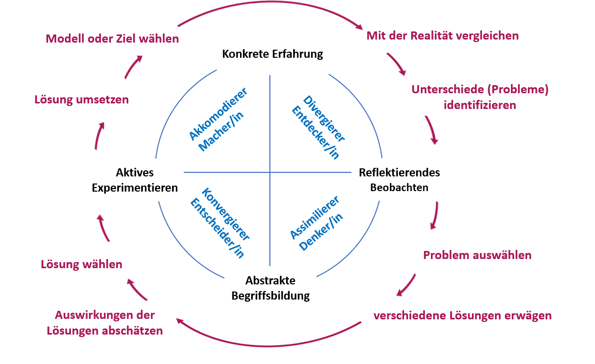 Die Grafik zeigt den Lernzyklus nach Kolb.